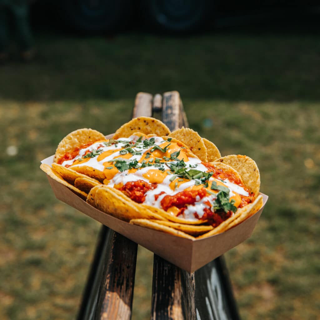 Manic Organic nachos